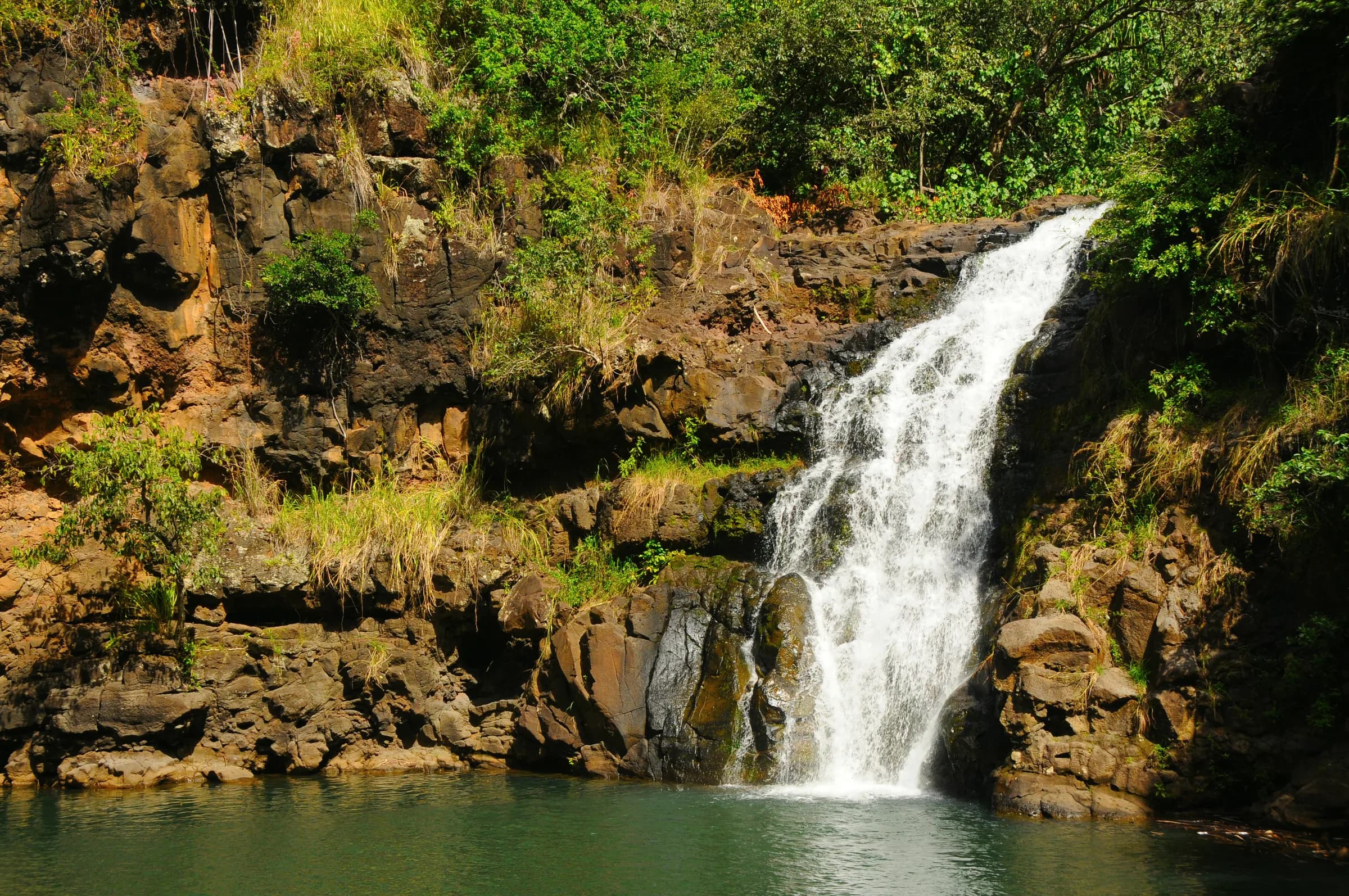 Waterfall Van Tours