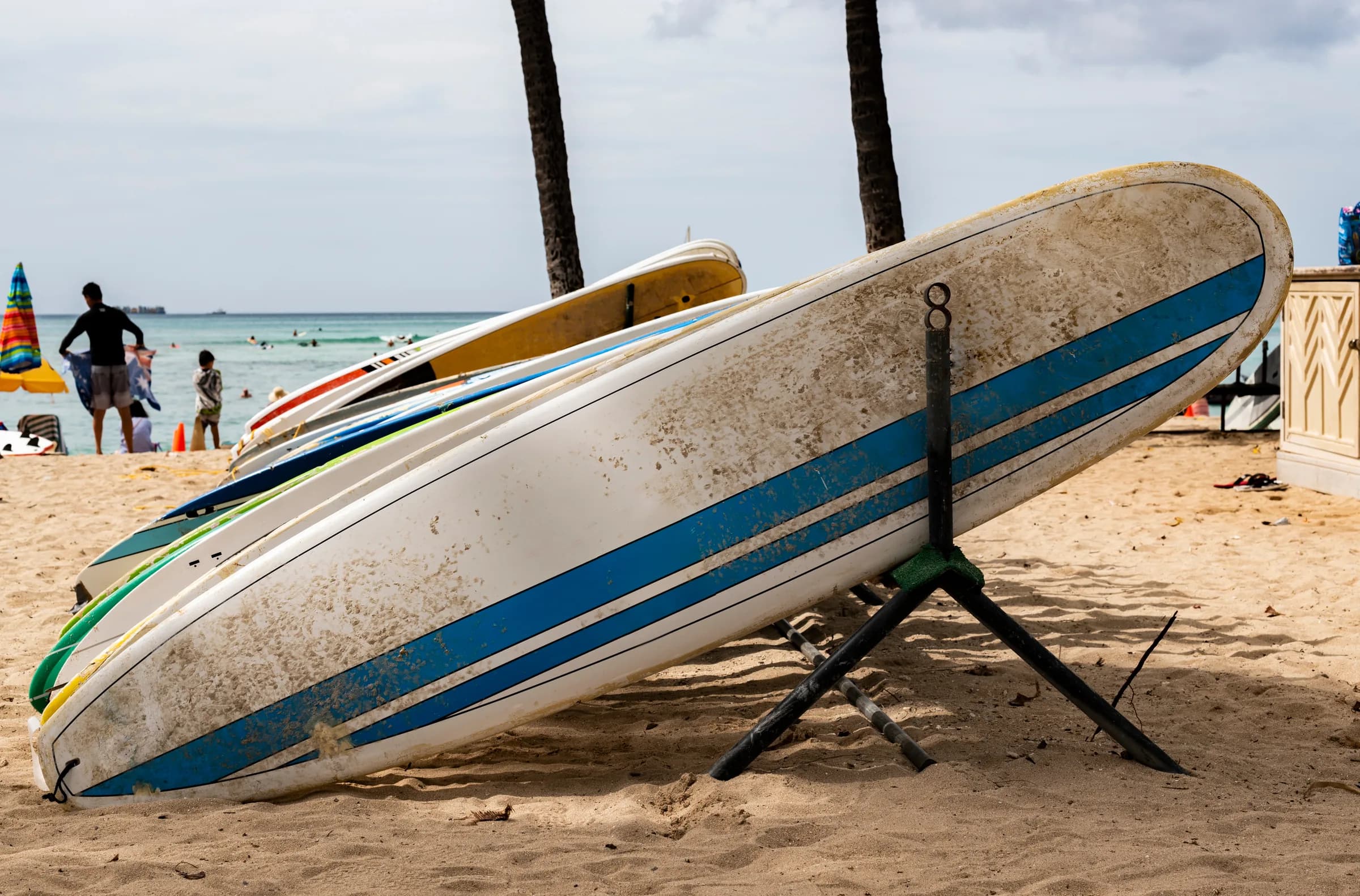 Water Sports Rentals
