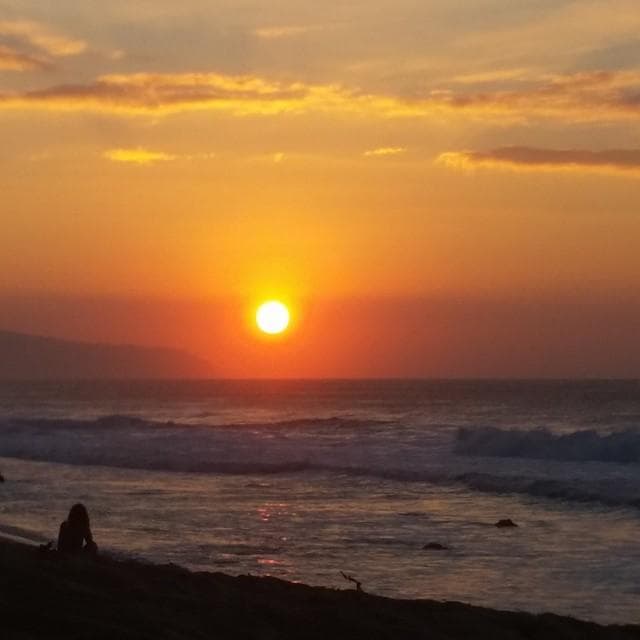 Sunset BBQ & Paddle Board Turtle Tour