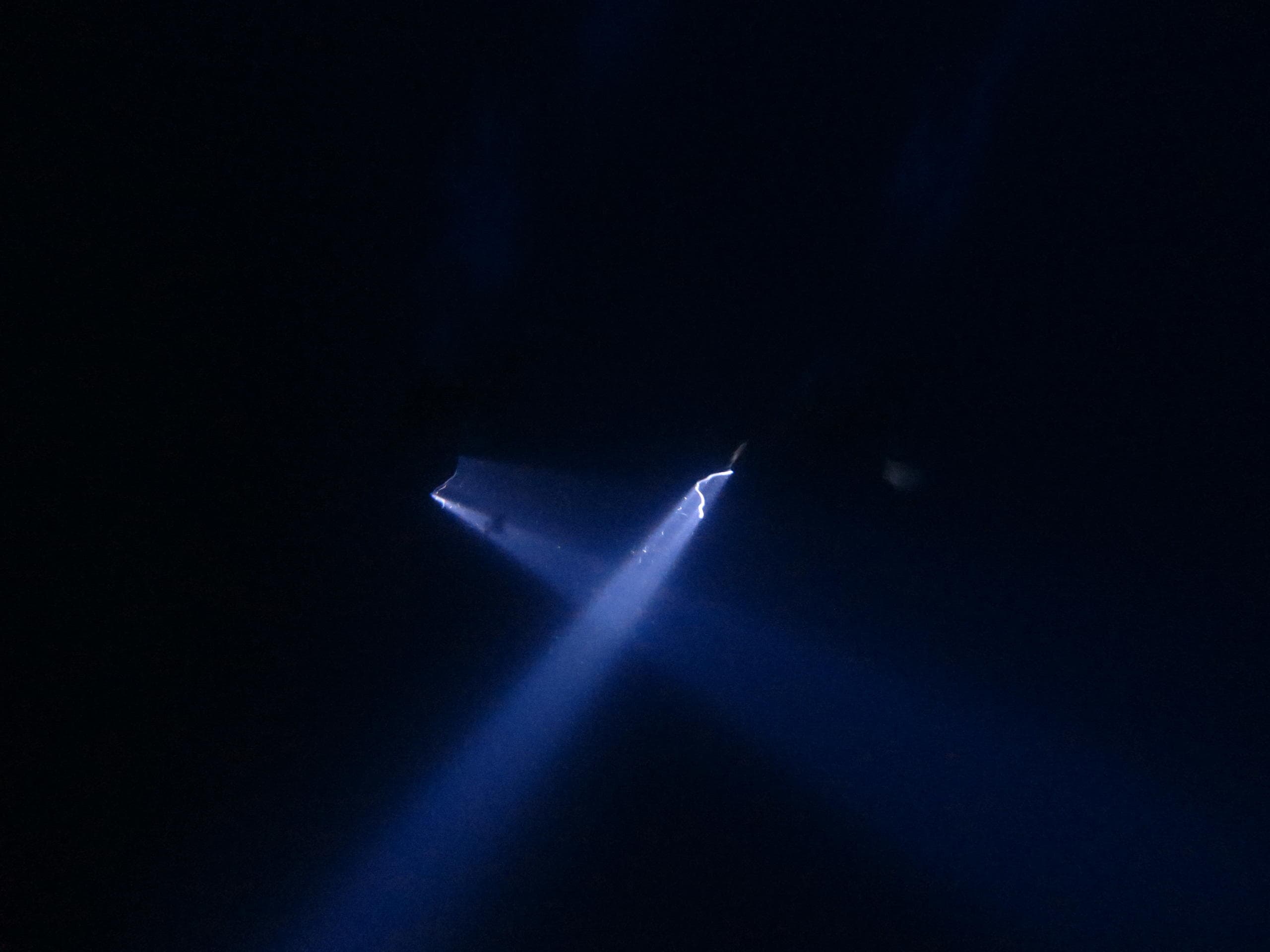 Pelagic Night Dive