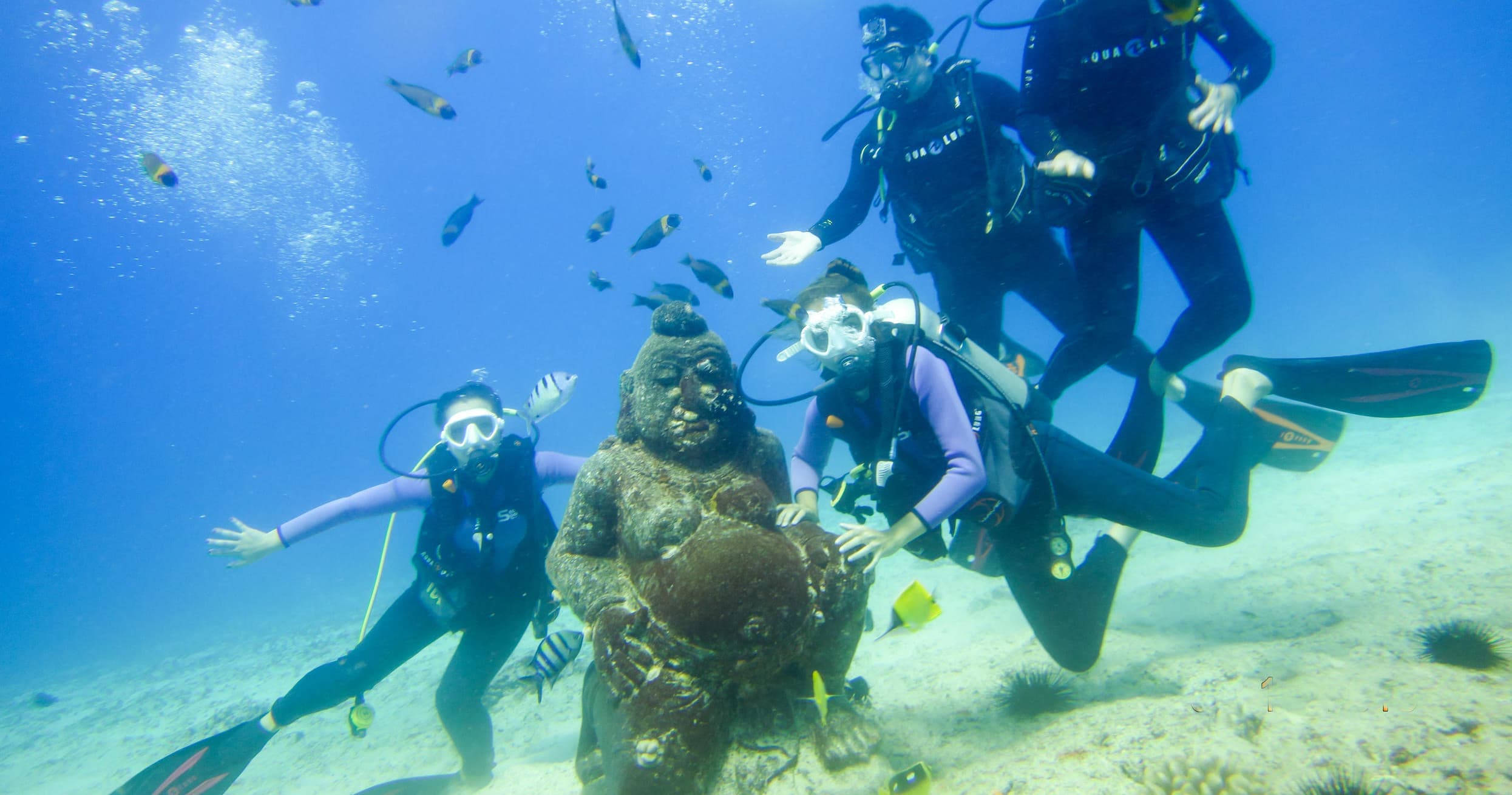 Discover Scuba Diving