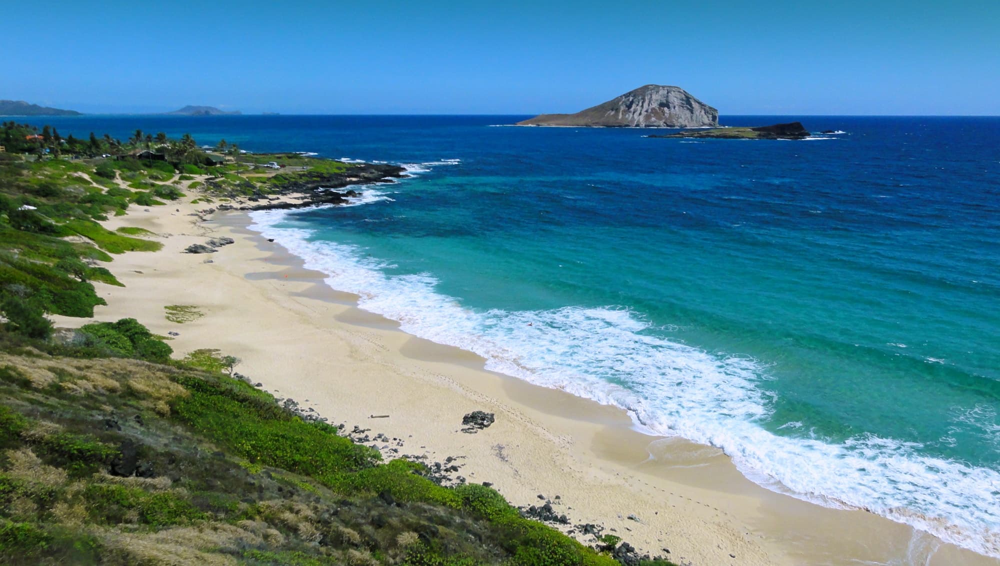 Half-Day Beautiful Oahu East Coast Tour