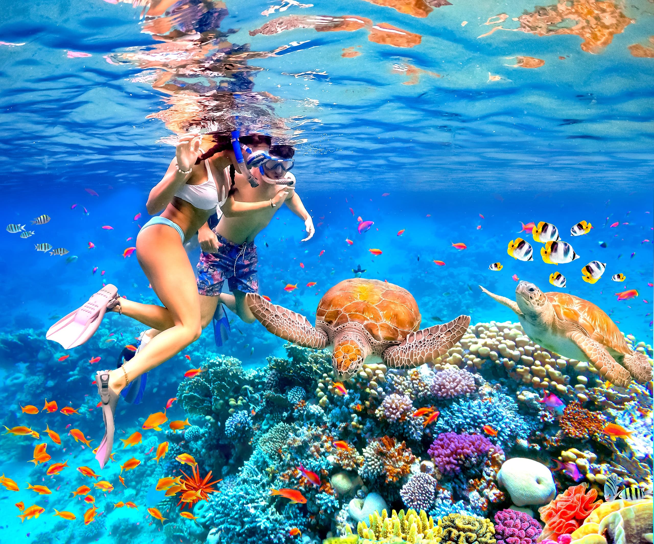Waikiki Turtle Canyon Snorkeling 6 in 1