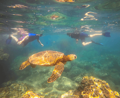 Snorkeling Adventure