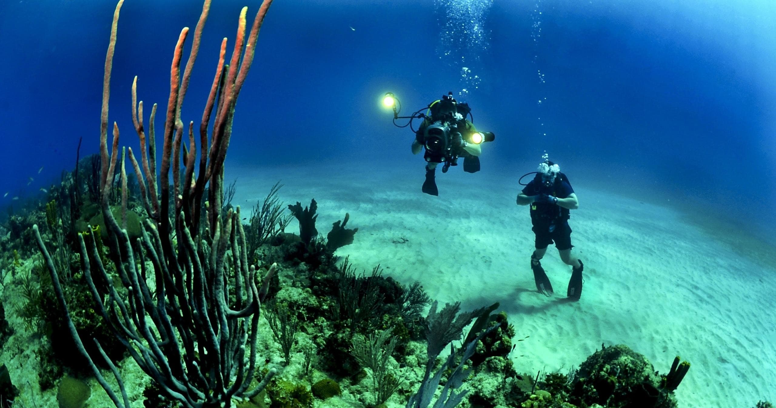 Try Scuba Diving For Non Certified Divers
