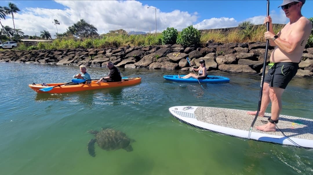 Haleiwa River Paddle Tour