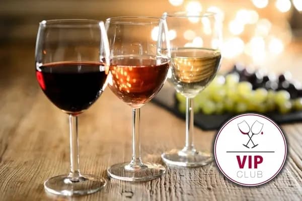 VIP Winery Tour & Tasting - $129 per couple