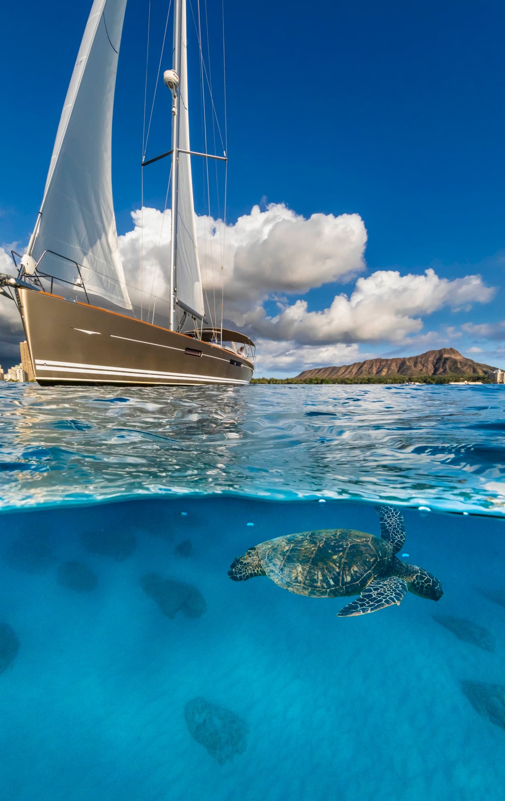 Waikiki Sail & Snorkel Adventure