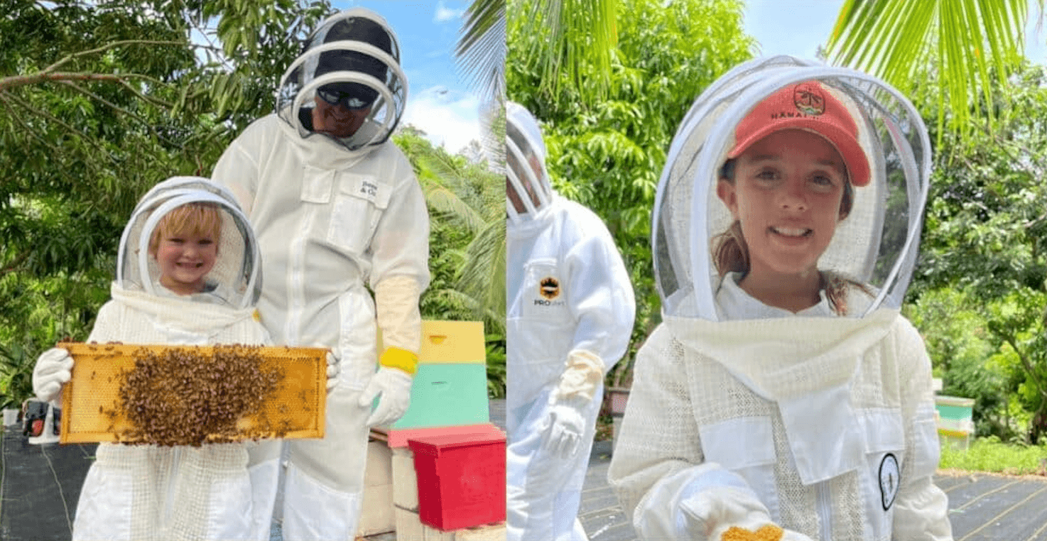 BEE FARM TOUR