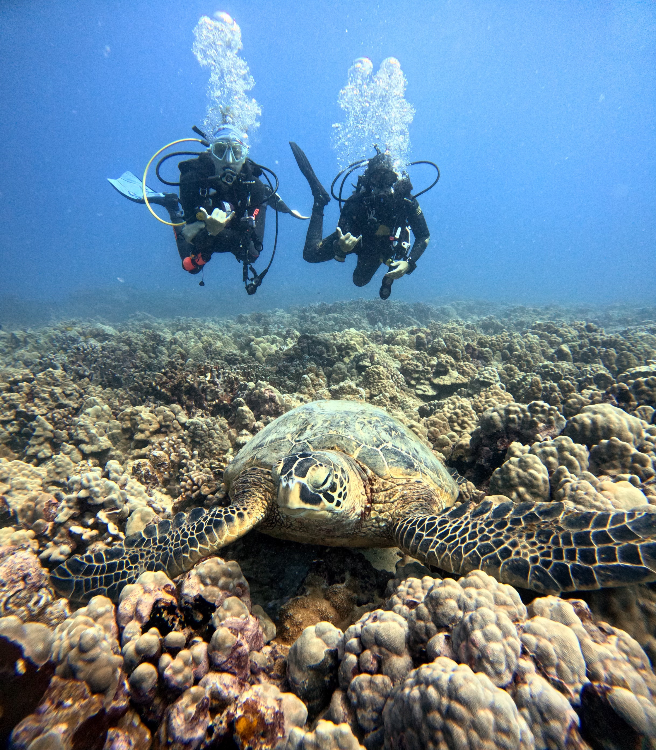 Discover Scuba Dive