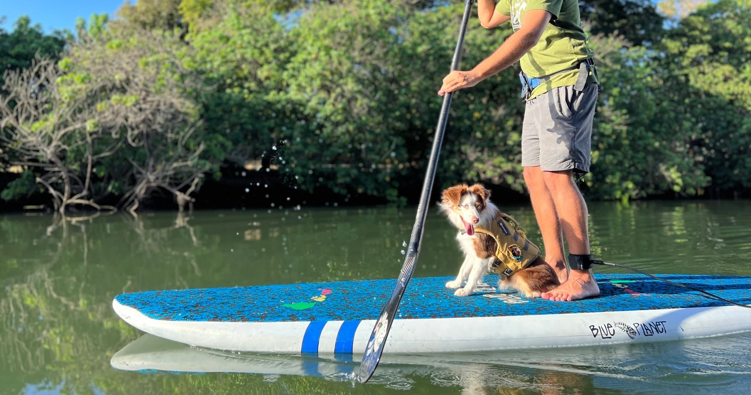 SUPDog Lessons