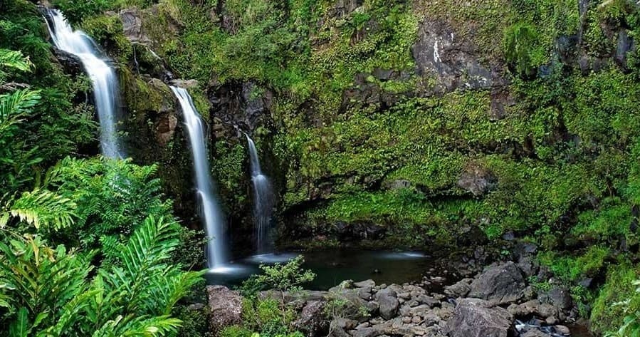 21W - Road to Hana Deluxe Rainforest and Waterfall Experience Departing from Oahu