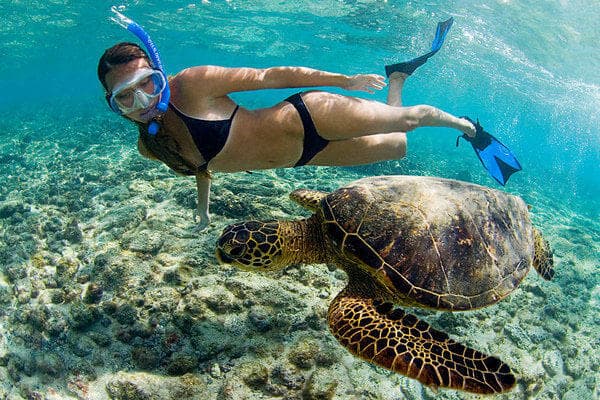 Boat Snorkeling Tour