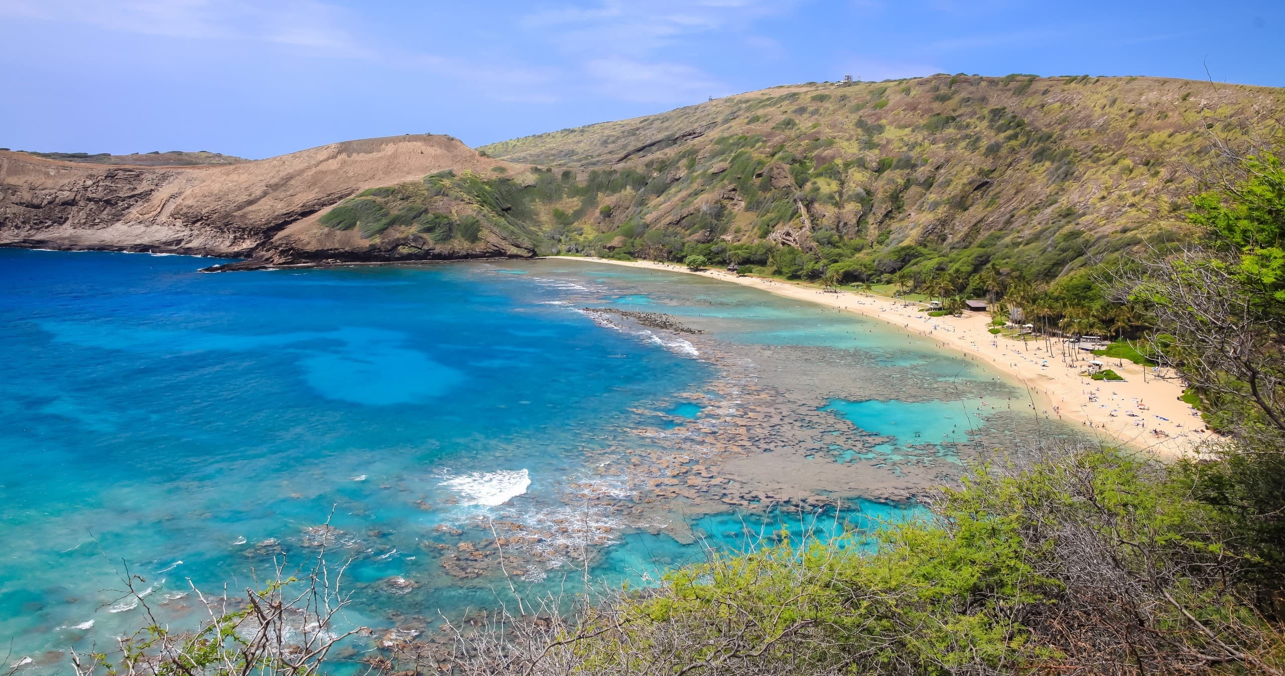 Hanauma Bay Snorkeling Tours / Lessons