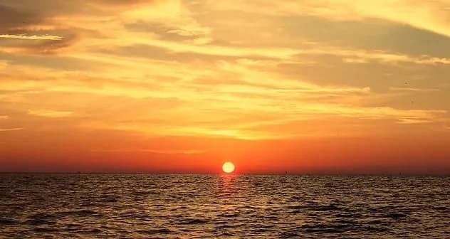Sunset Safari Cruise