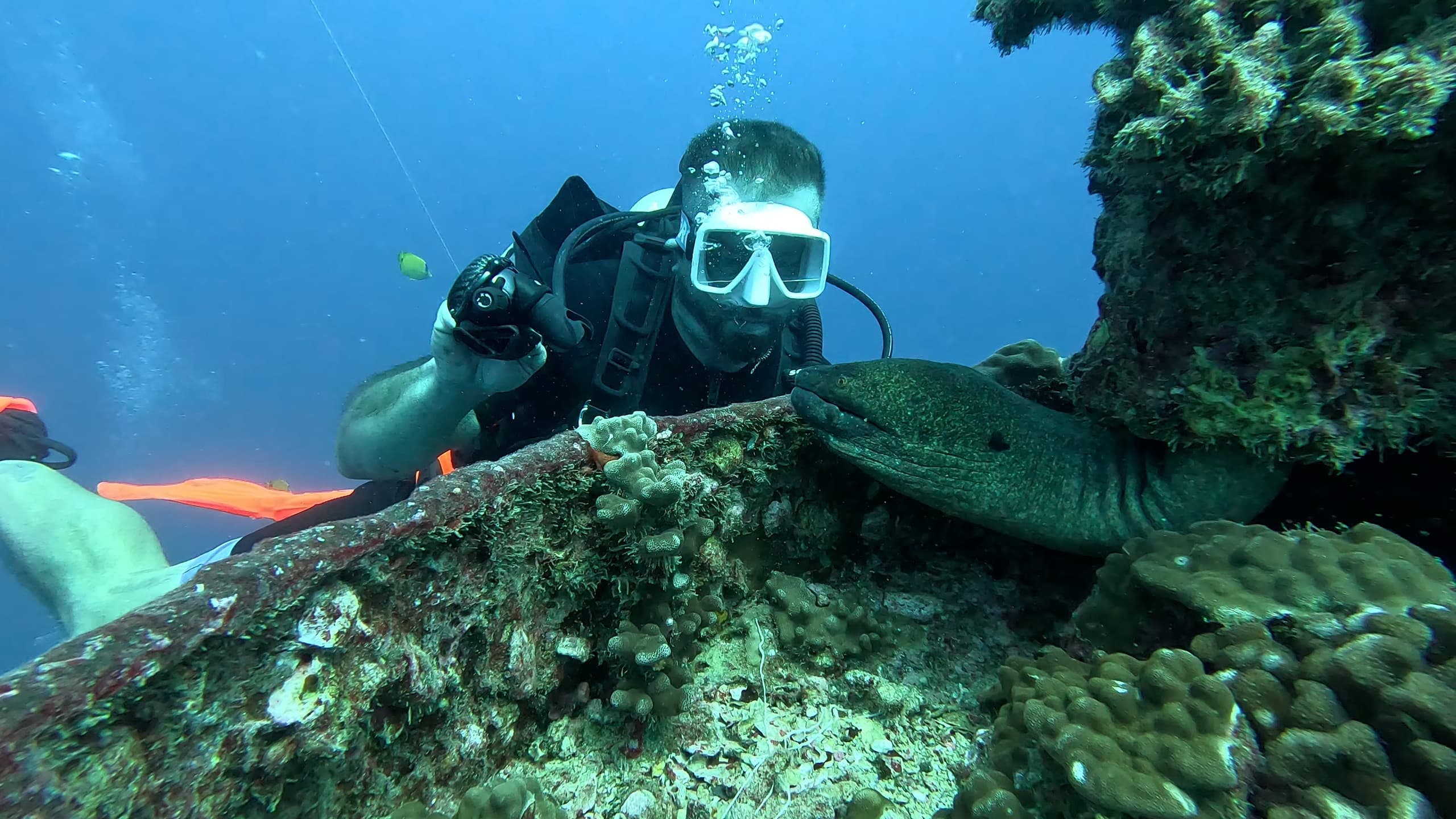 SCUBA Dive Excursion: Two Tank Wreck, Reef and Fireworks