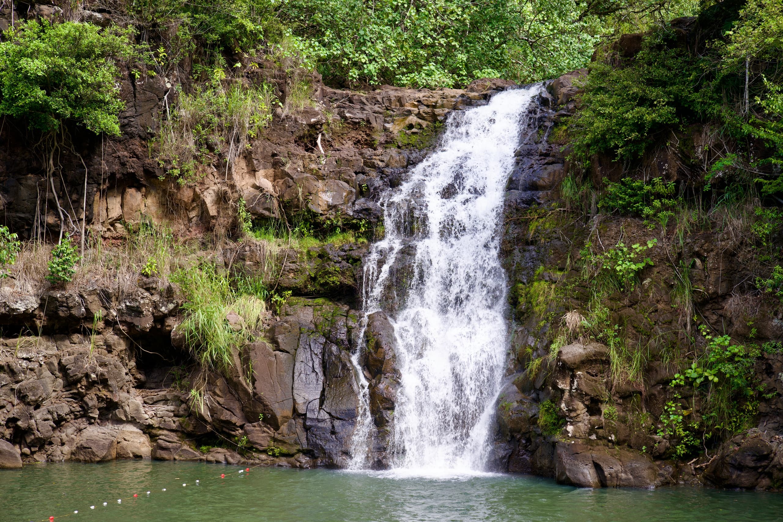 Private North Shore Waterfall Tour