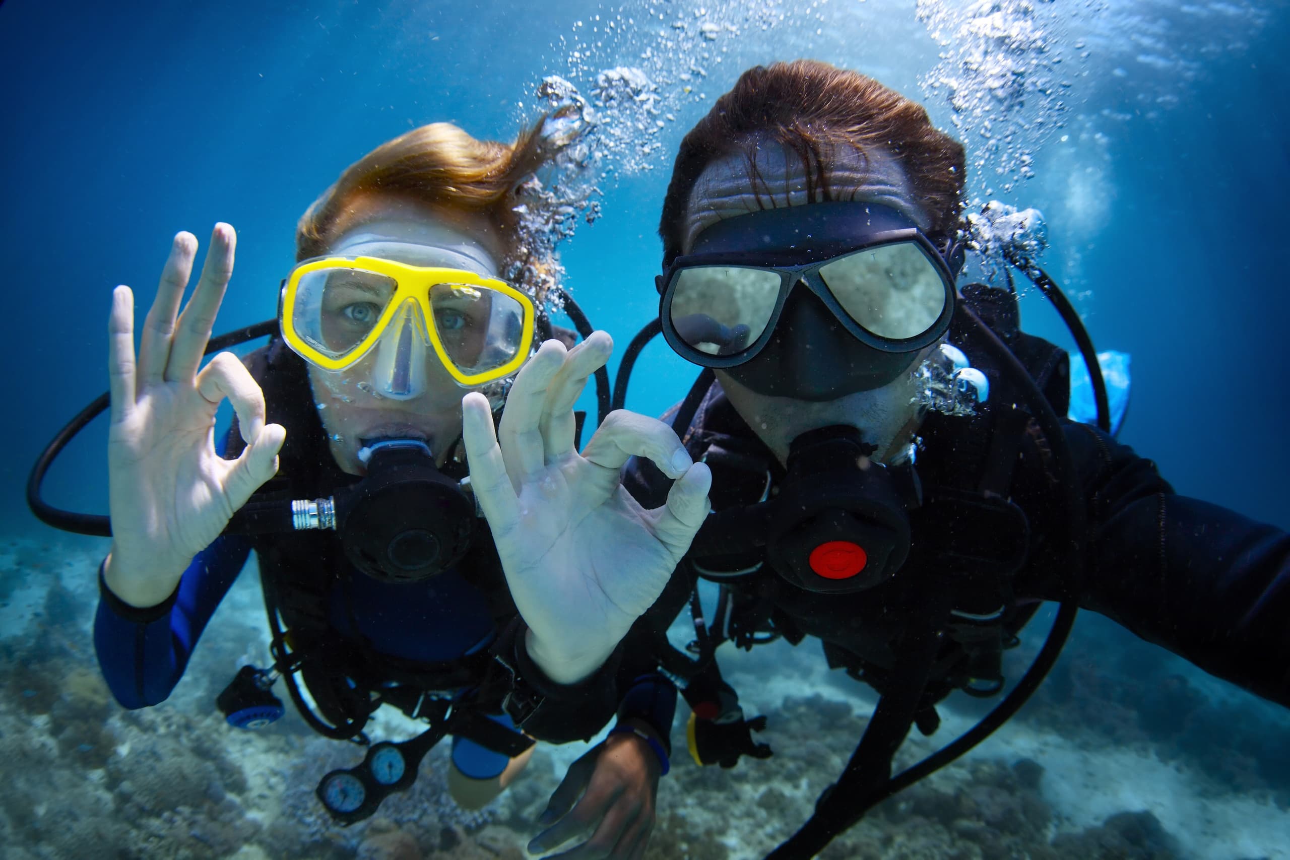 Scuba Diving Excursion - Wreck and Reef