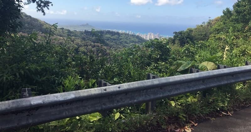 Jungle Hike
