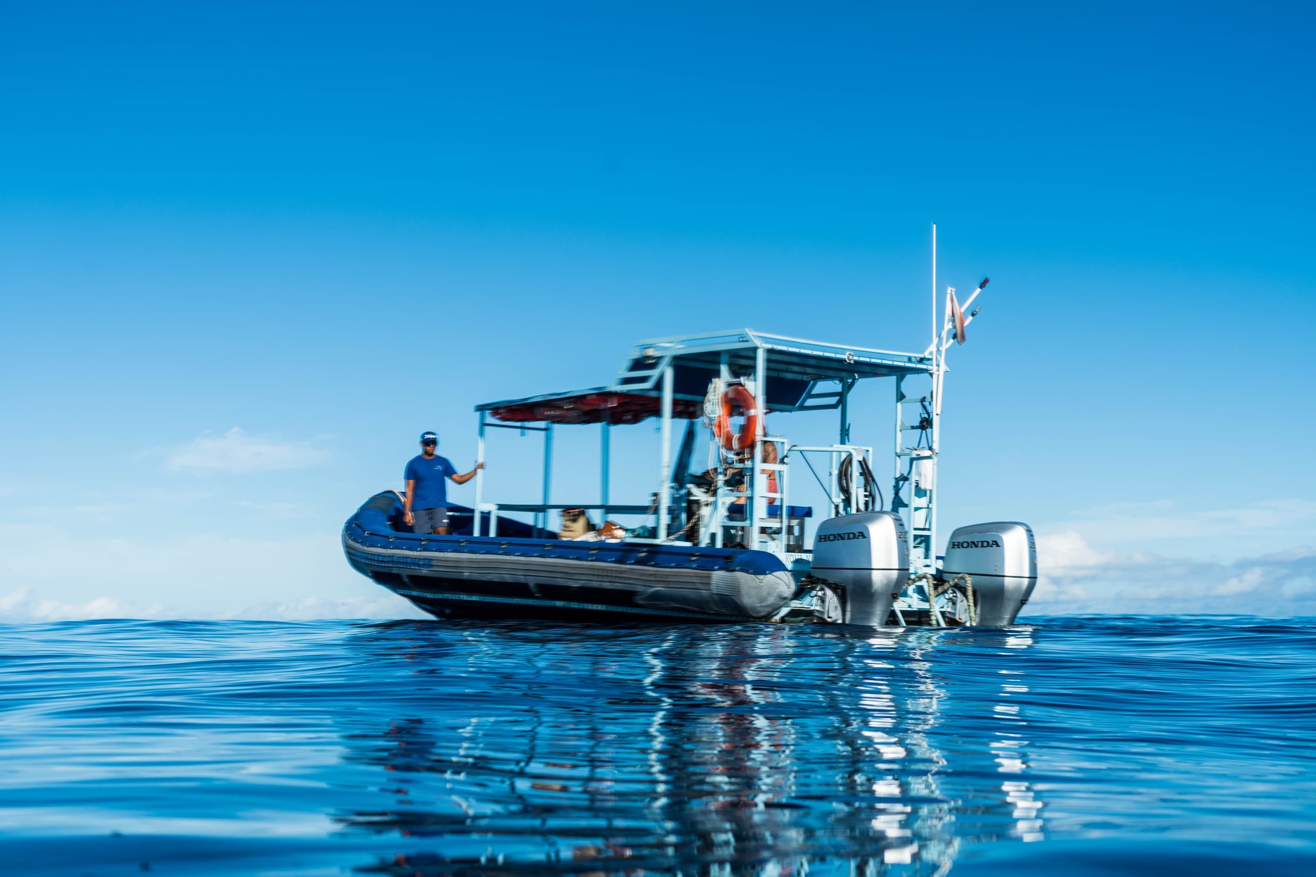 Dolphin Warrior Private Charters