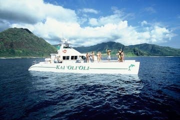 Private Sunset Dolphin Watch & Snorkel Cruise with Dinner and Cocktails