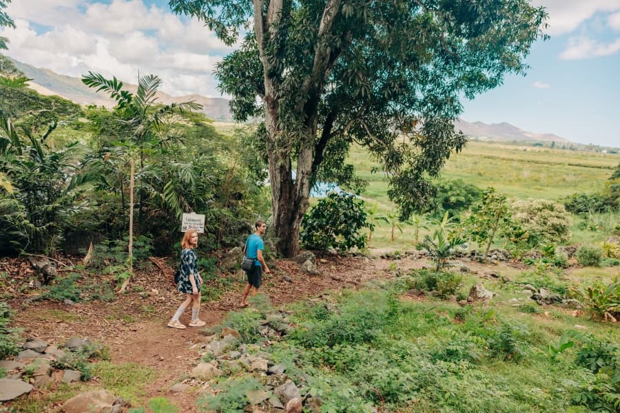 Aloha ‘Aina E-Bike Adventure