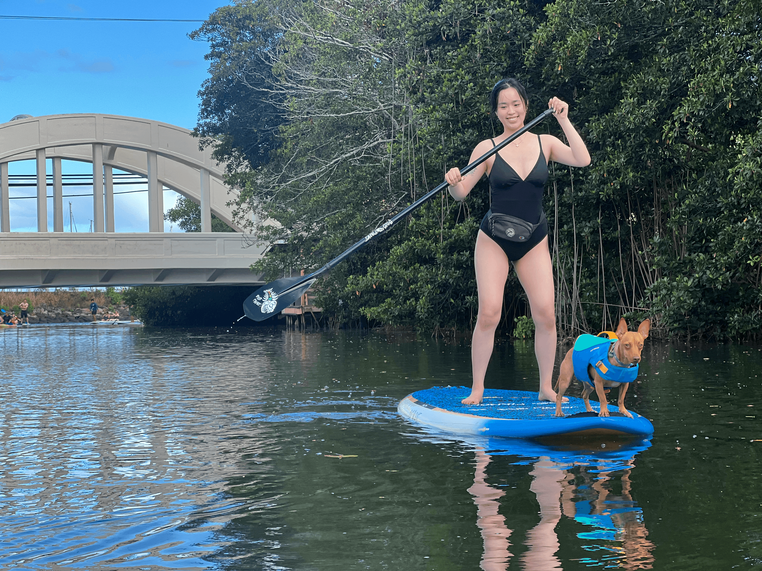 SUPDog Experience North Shore