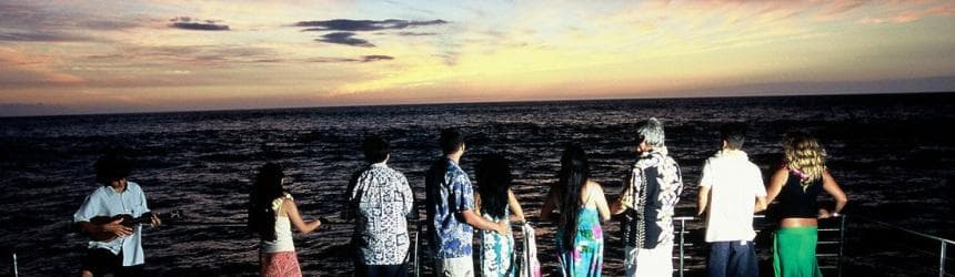 Sunset Dolphin Watch & Snorkel Cruise with Dinner and Cocktails