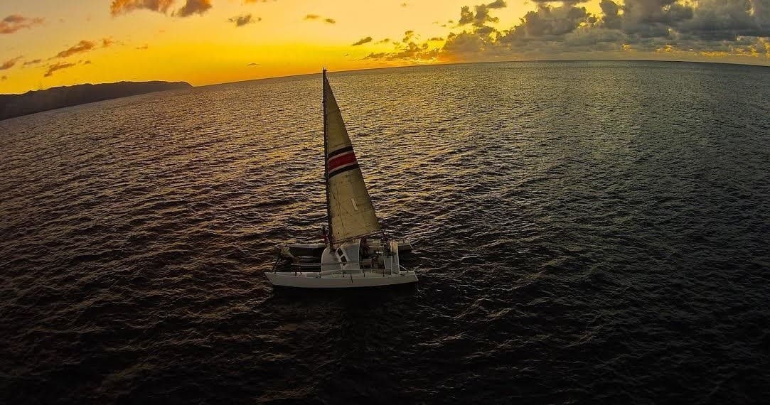 Sunset Whale Watch