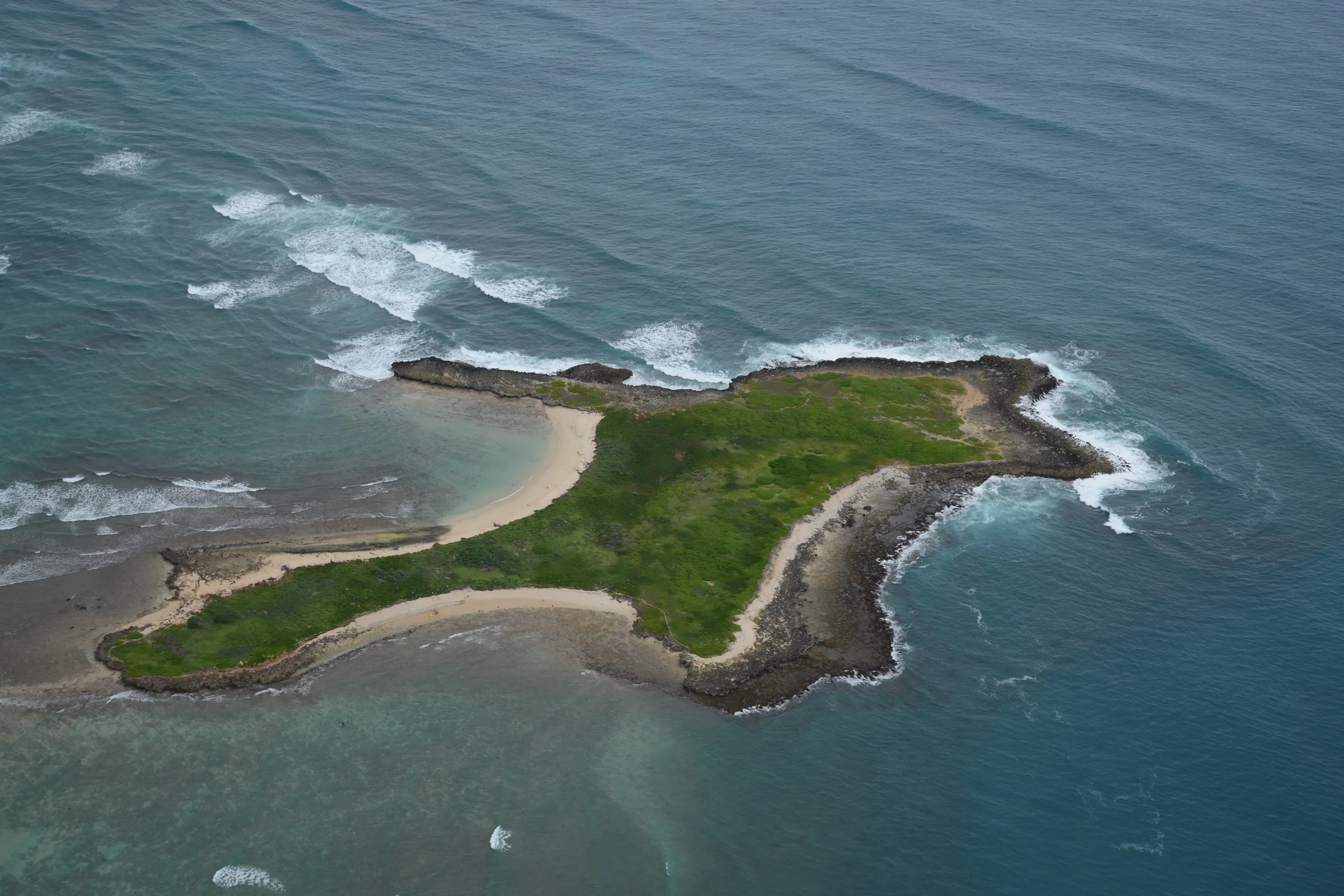 Goat Island (Mokuauia)
