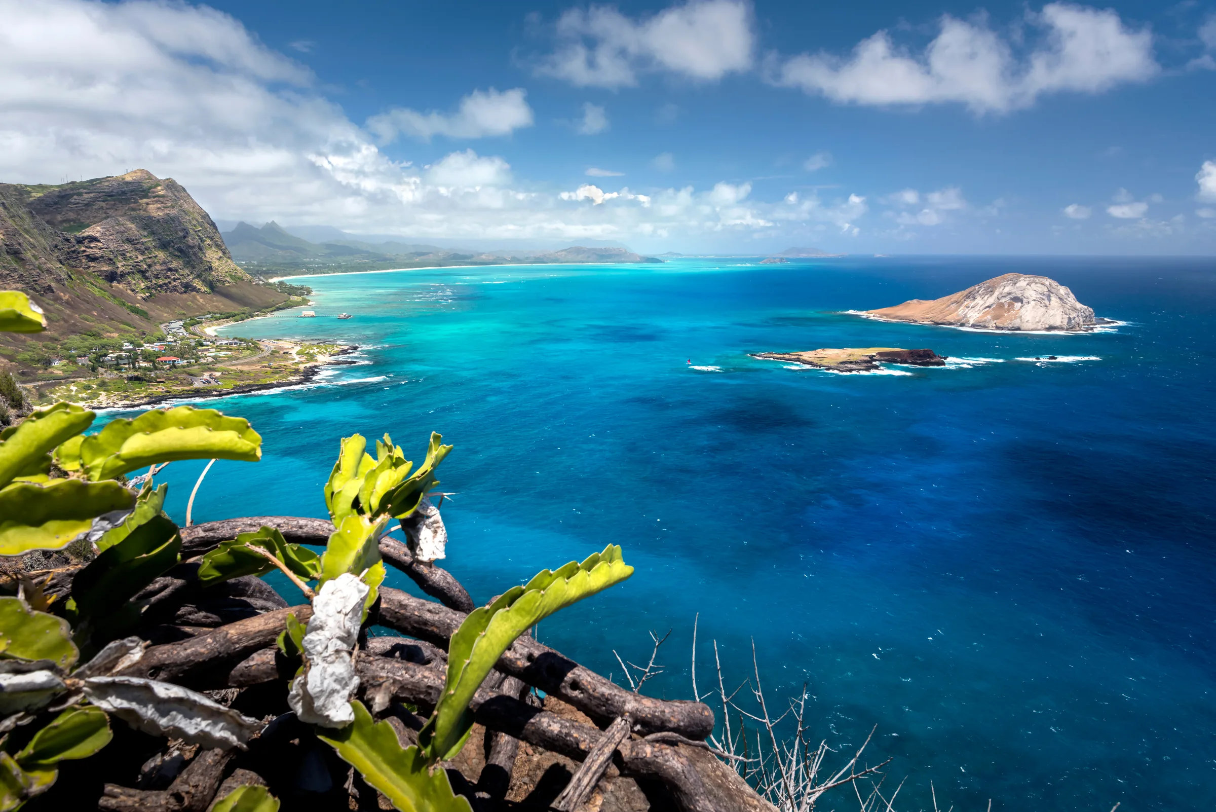 Makapuu Lookout