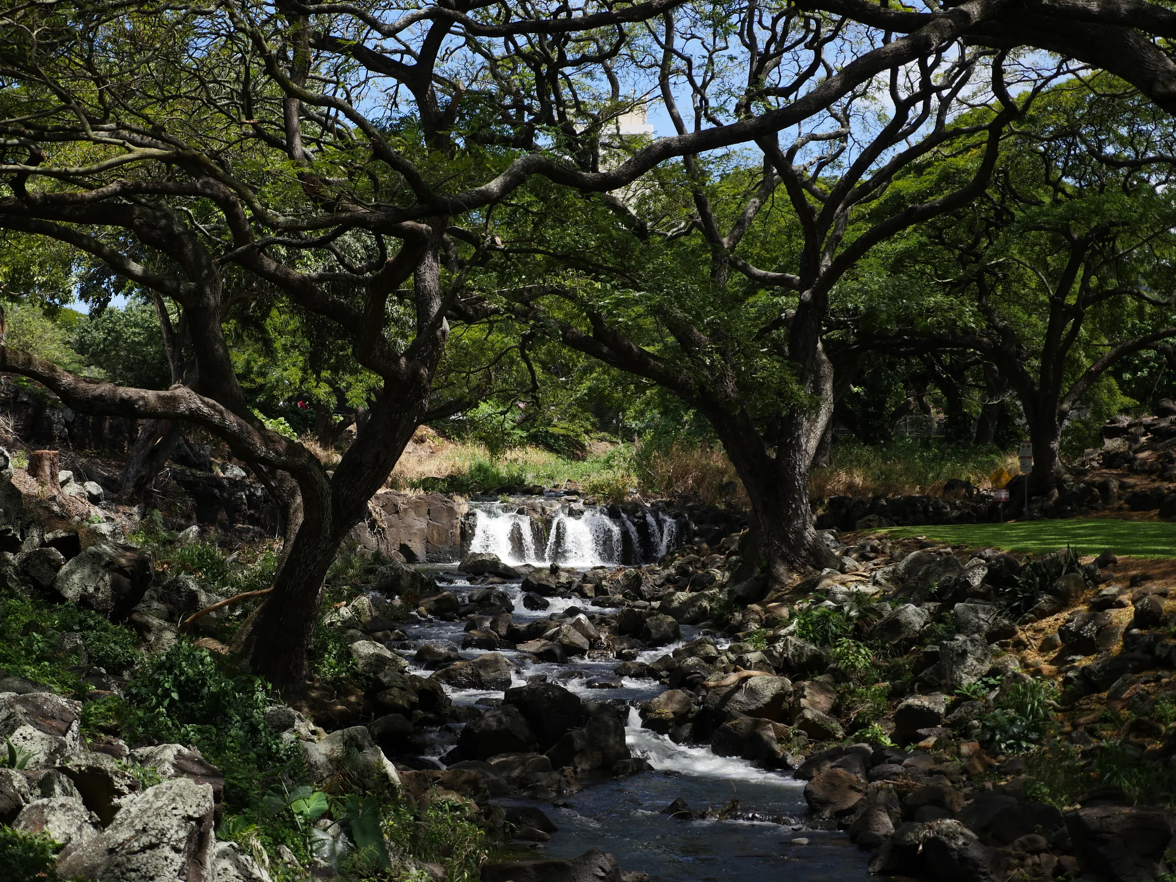 Liliuokalani Botanical Garden
