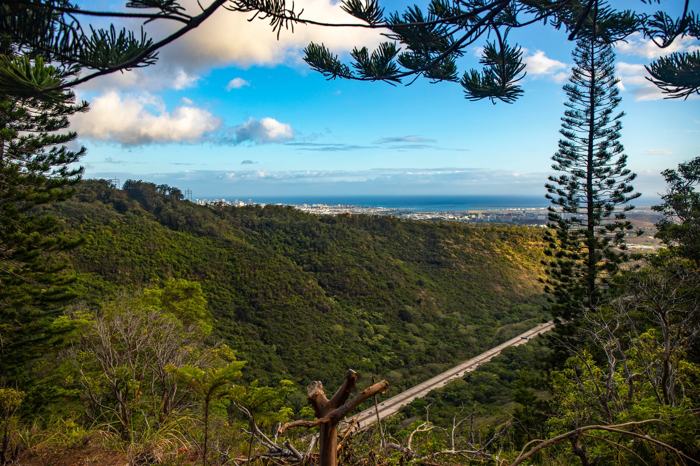 Aiea Loop Trail