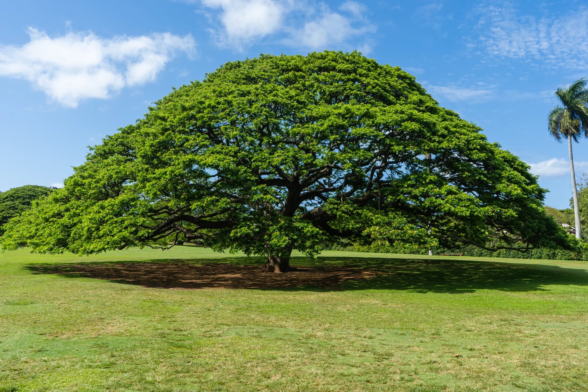 Moanalua Gardens