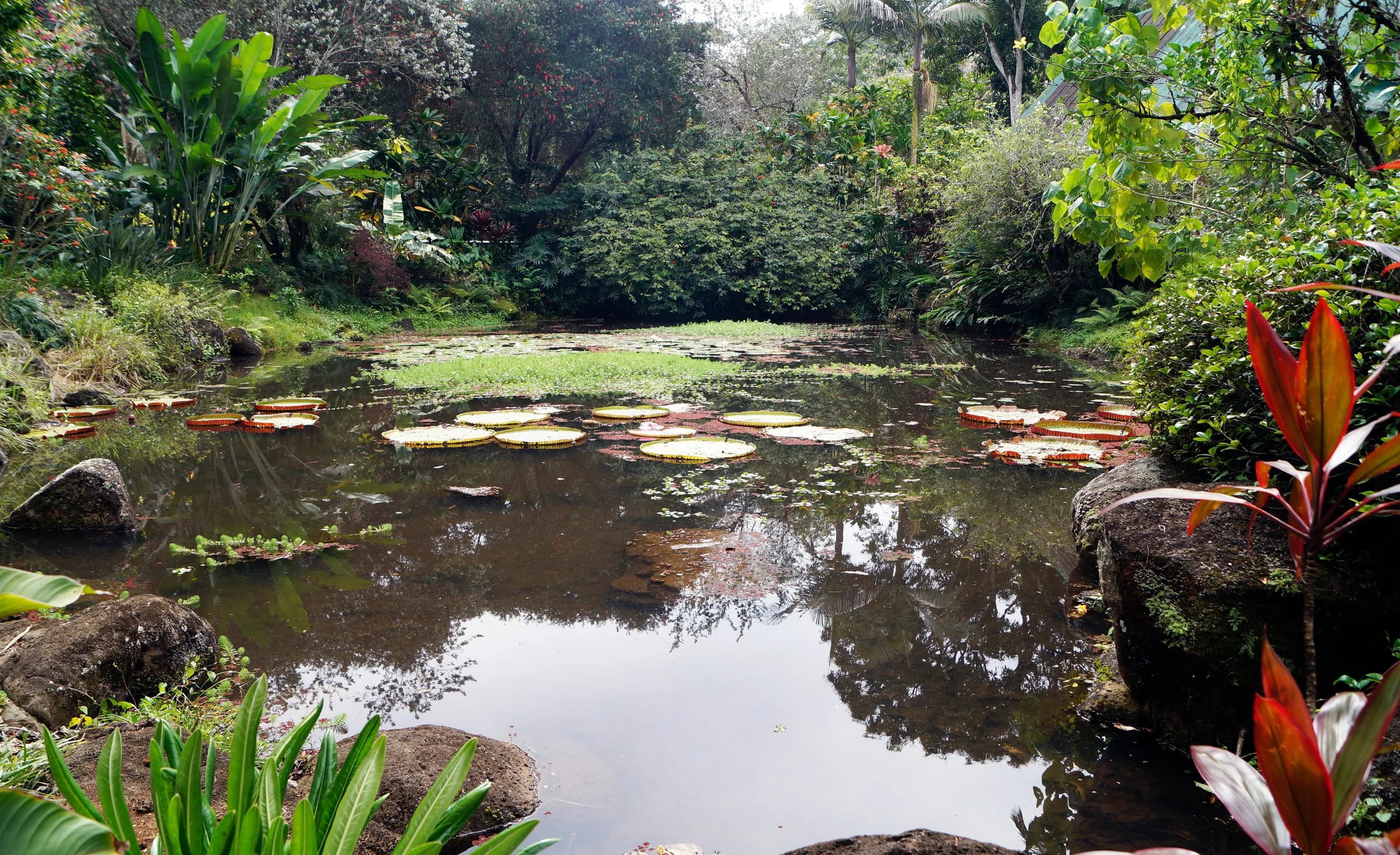 Waimea Valley