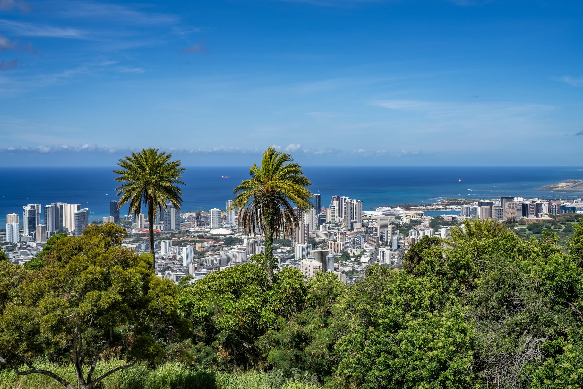 Round Top / Tantalus Drive