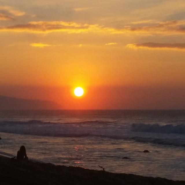 Sunset BBQ & Paddle Board Turtle Tour