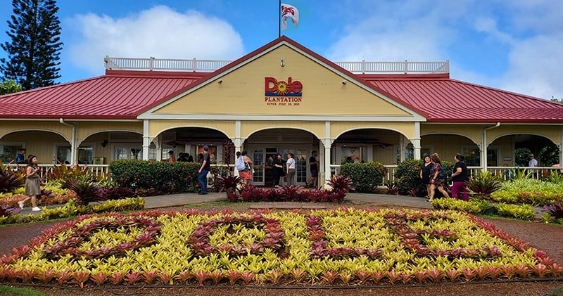 Circle Island Tour