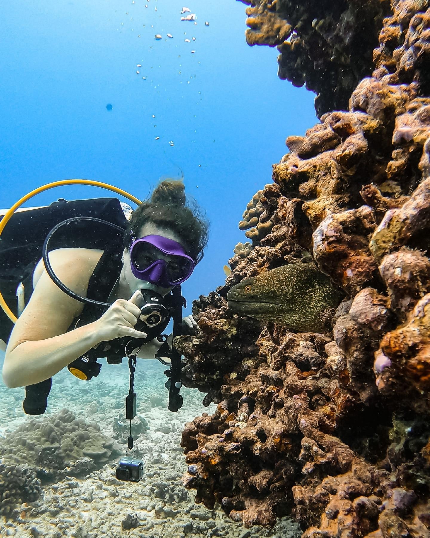 Dive Packages
