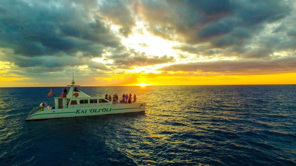 Private Sunset Dolphin Watch & Snorkel Cruise with Cocktails Only