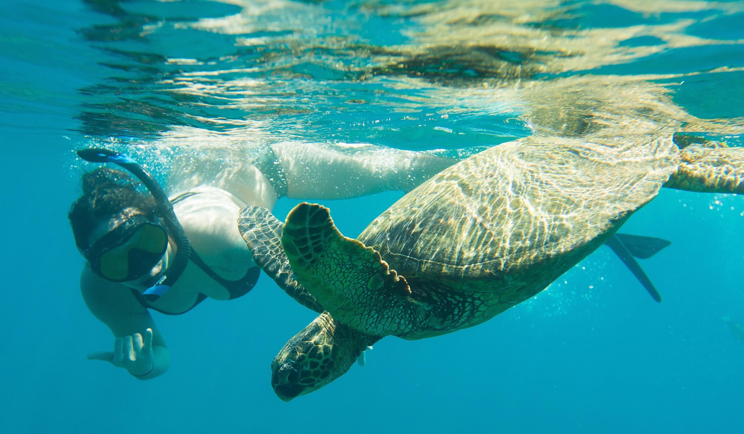 Snorkel Adventure