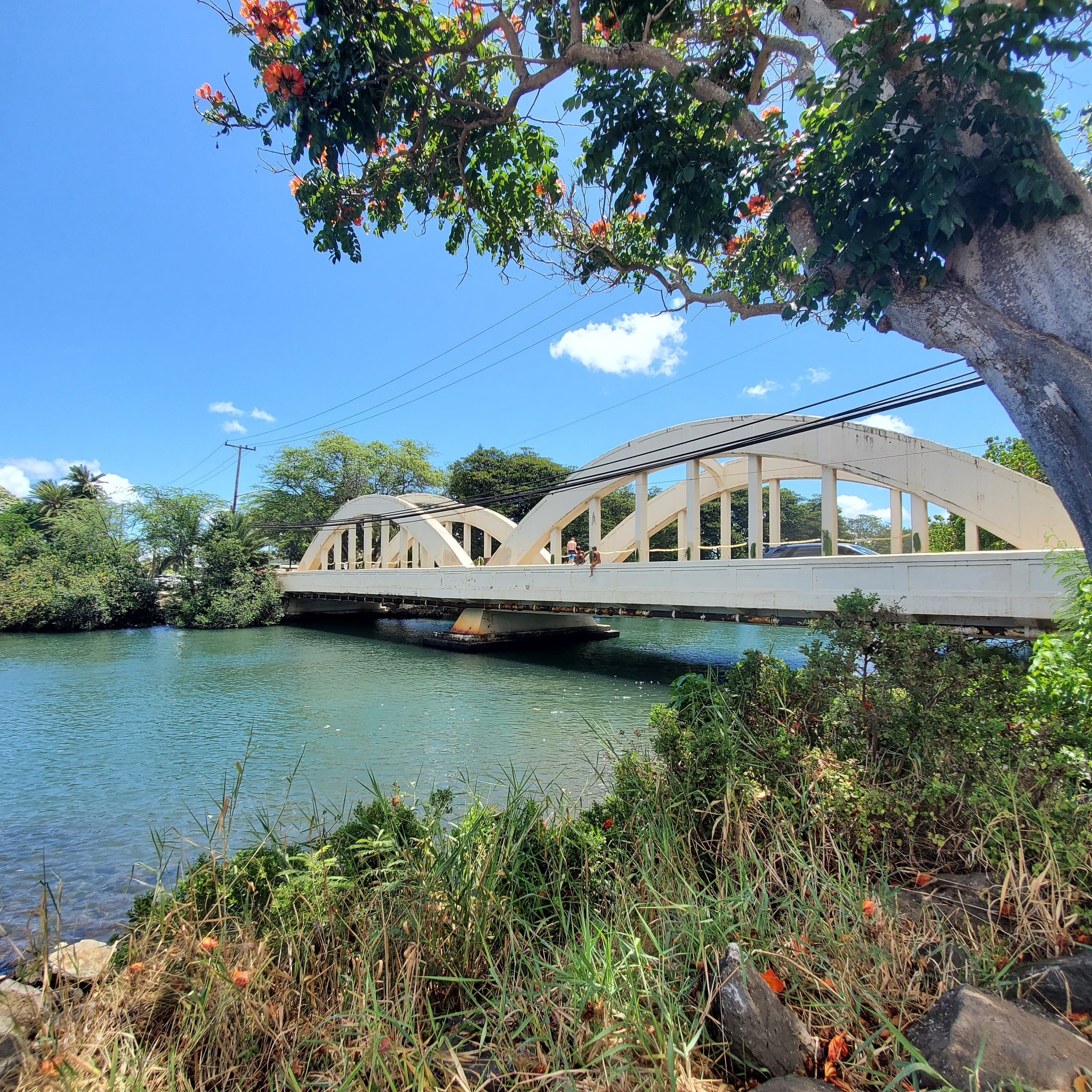 Round Trip North Shore Haleiwa Shuttle