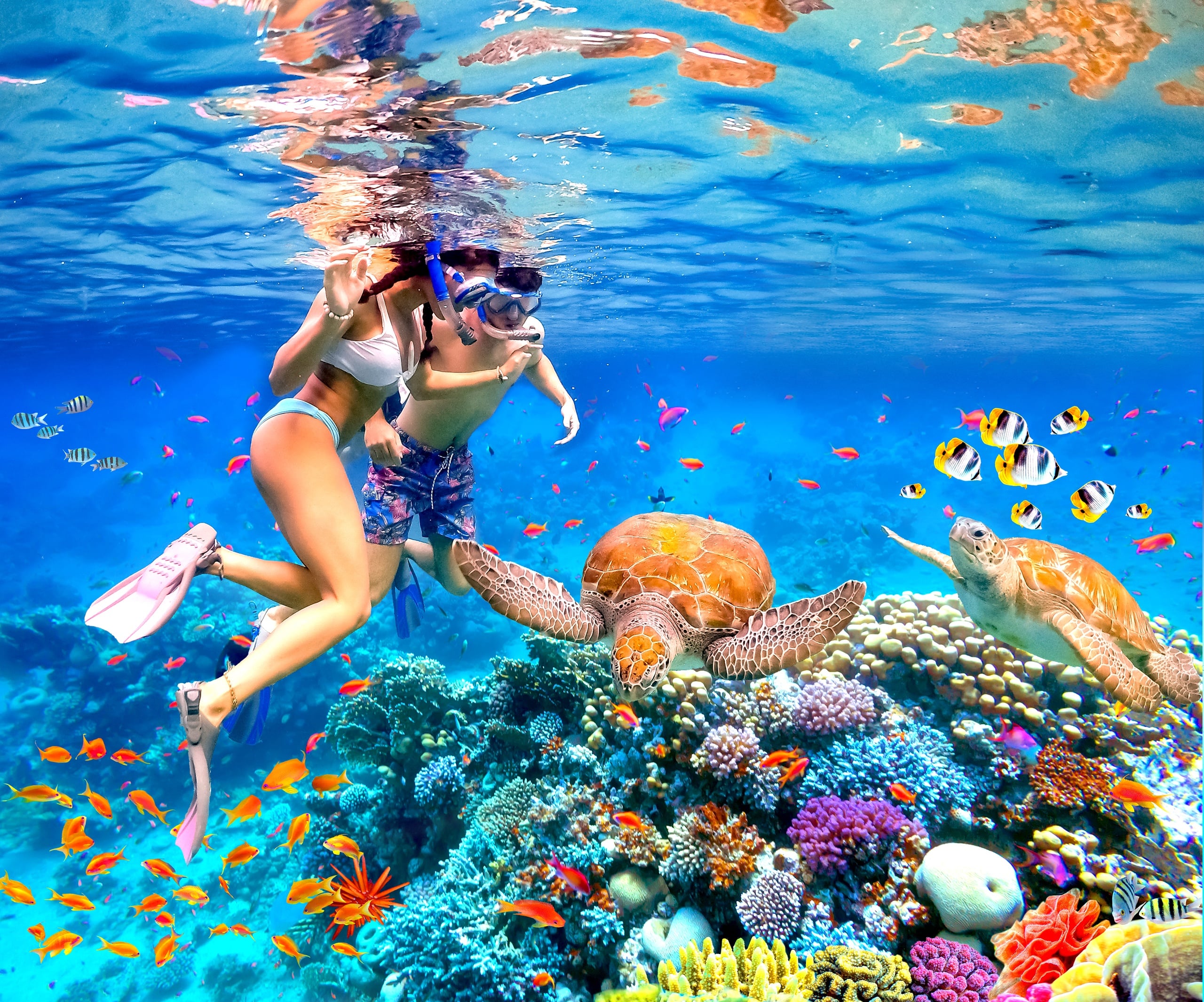 Waikiki Turtle Canyon Snorkeling 6 in 1