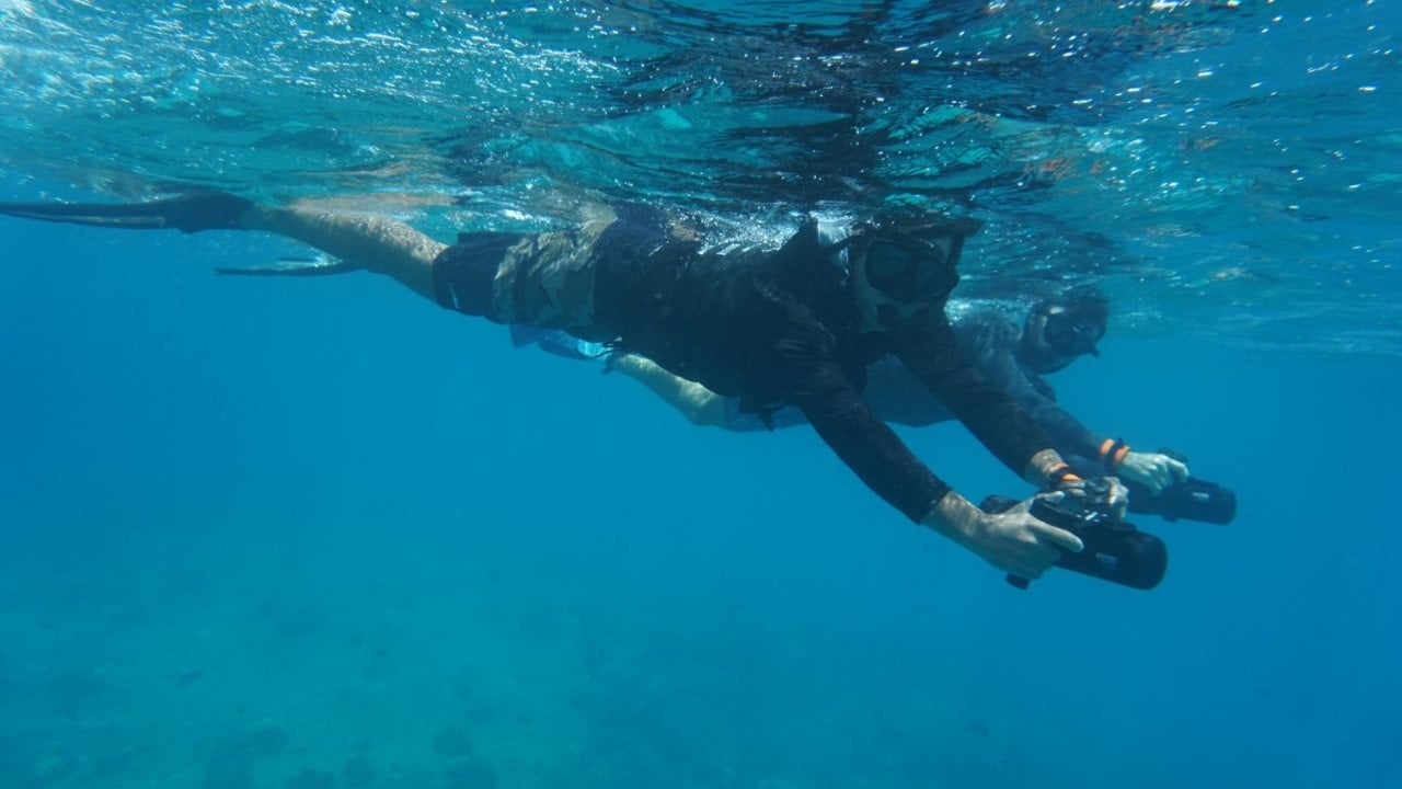Jet Snorkel Tour (Small Group)