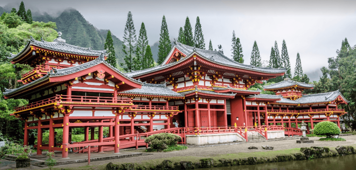 Hidden Gems of Oahu with Byodo In and Turtle Spotting