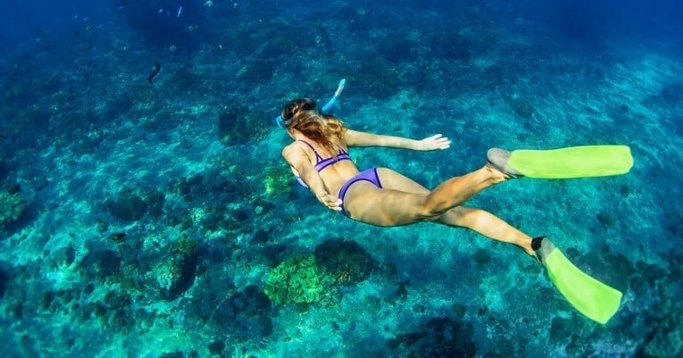 Snorkel Tour