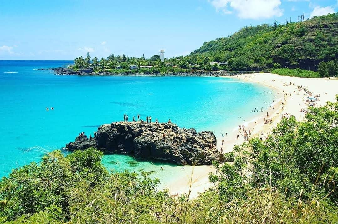 Tour of North Shore & Waimea Waterfall and Pali Lookout