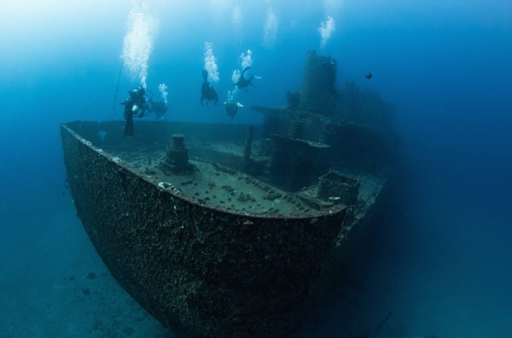Shipwreck and Reef Dives