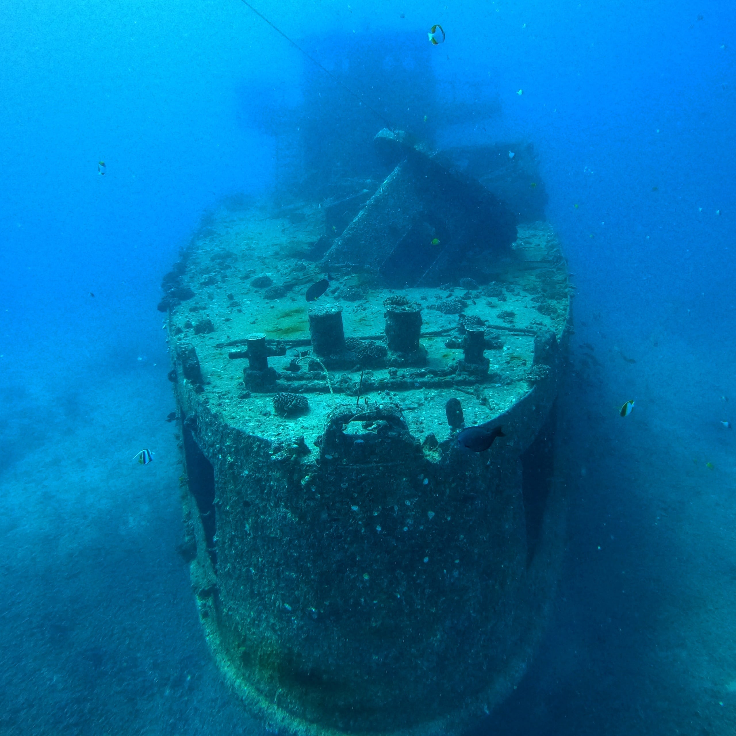 Wreck & Reef Tour