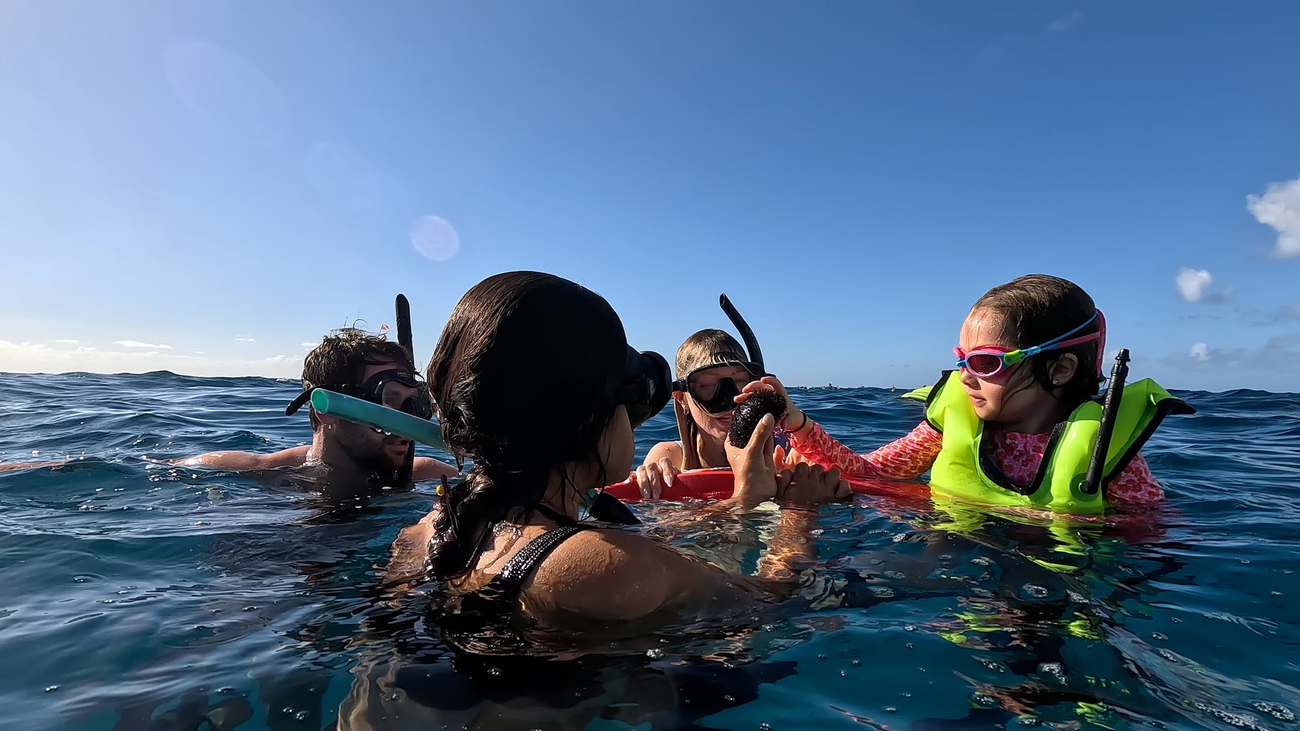 Private Snorkel Excursion